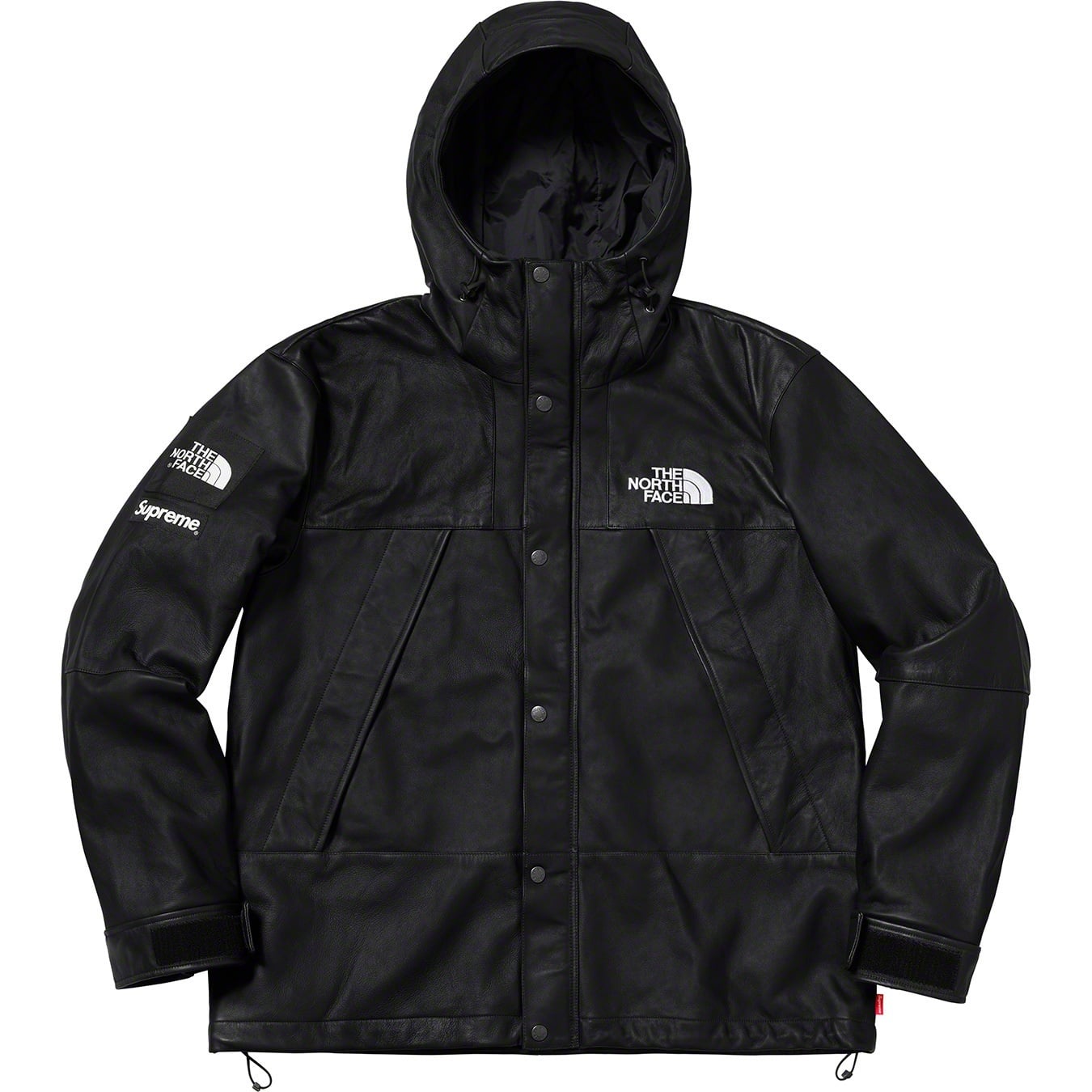 Supreme®/The North Face® Leather Mountain Parka view 3